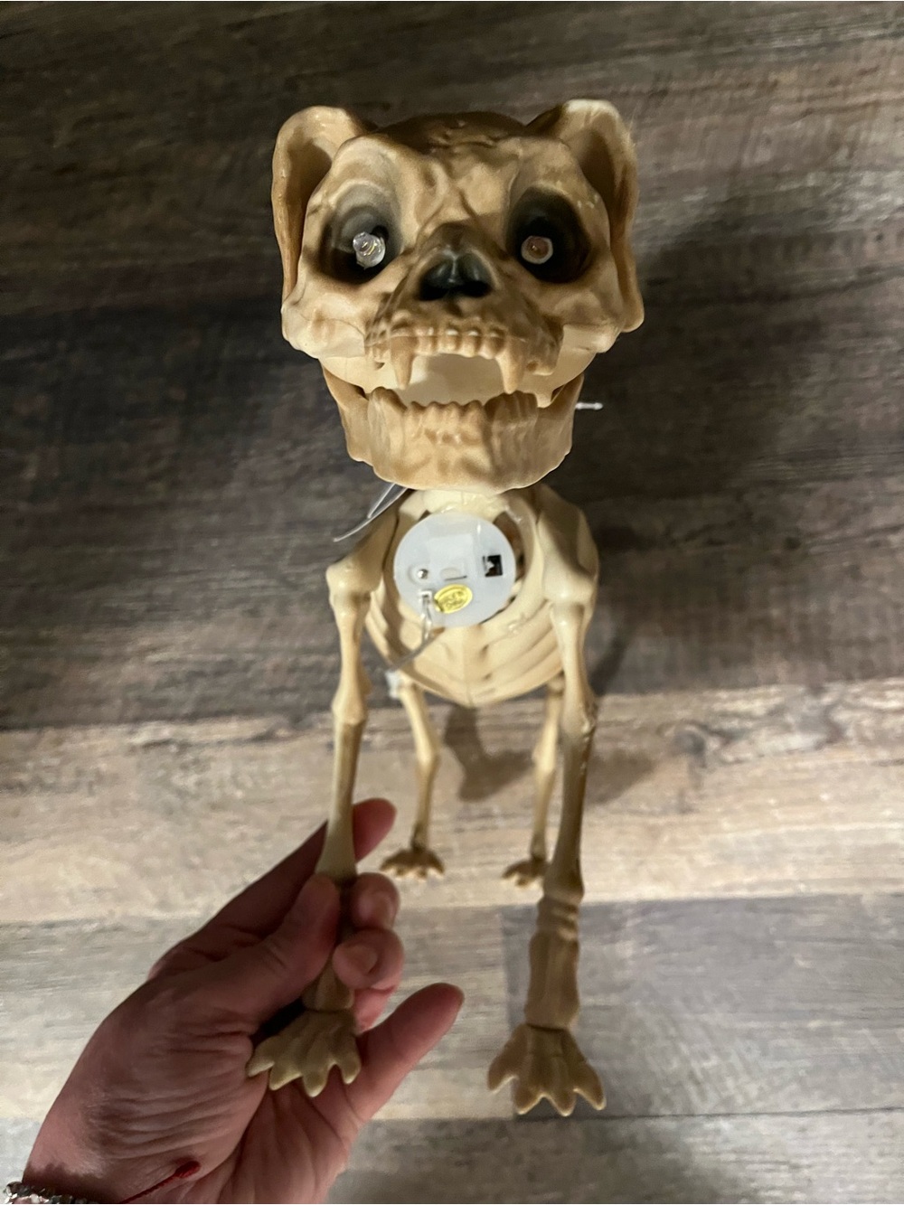 Moonlight Manor Led Dog Skeleton Halloween.